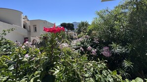 A courtyard with lush greenery and flowering plants, a white building with a curved facade, and a clear blue sky.