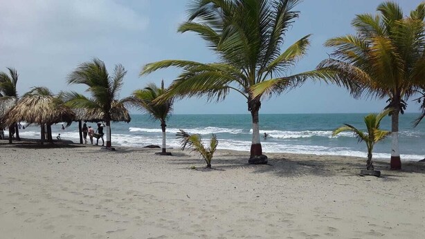 A sandy beach with palm trees and a clear view of the ocean. - Cabaña de Enseño en Coveñas (Coveñas)