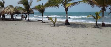 Vlak bij het strand, wit zand