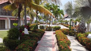 A pathway lined with lush greenery and flowering plants, leading to a building with a tiled roof and white walls. - Cabaña de Enseño en Coveñas (Coveñas)