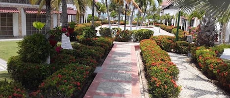 A pathway lined with lush greenery and flowering plants, leading to a building with a tiled roof and white walls.