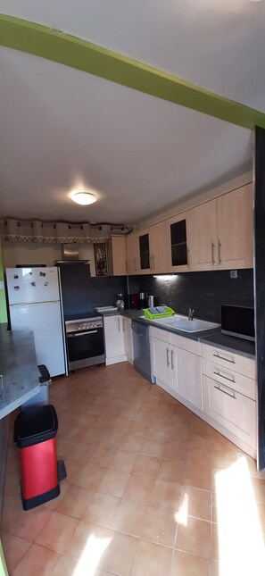 Een microgolfoven, een oven, een kookplaat, een vaatwasser