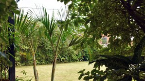 Un jardín exuberante con diversas plantas y un césped bien cuidado.