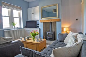 Smart TV, fireplace, books