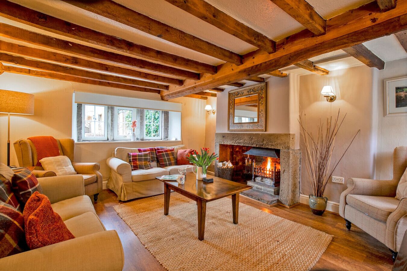 智能電視、壁爐、書籍