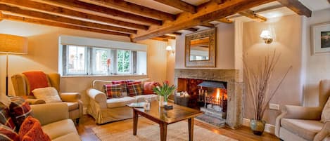 Smart TV, fireplace, books