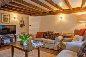 Smart-TV, peis og bøker