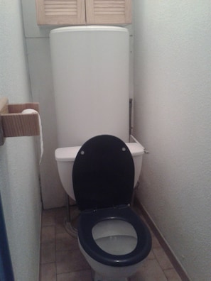 タオル、トイレットペーパー