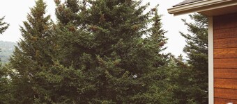 Newly remodeled and close to the beach!