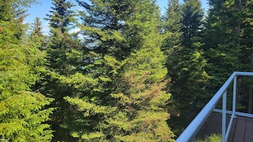 住宿场地
