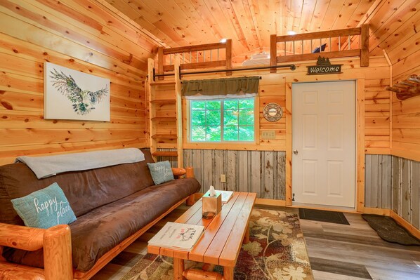 TV, DVD player, books, video library