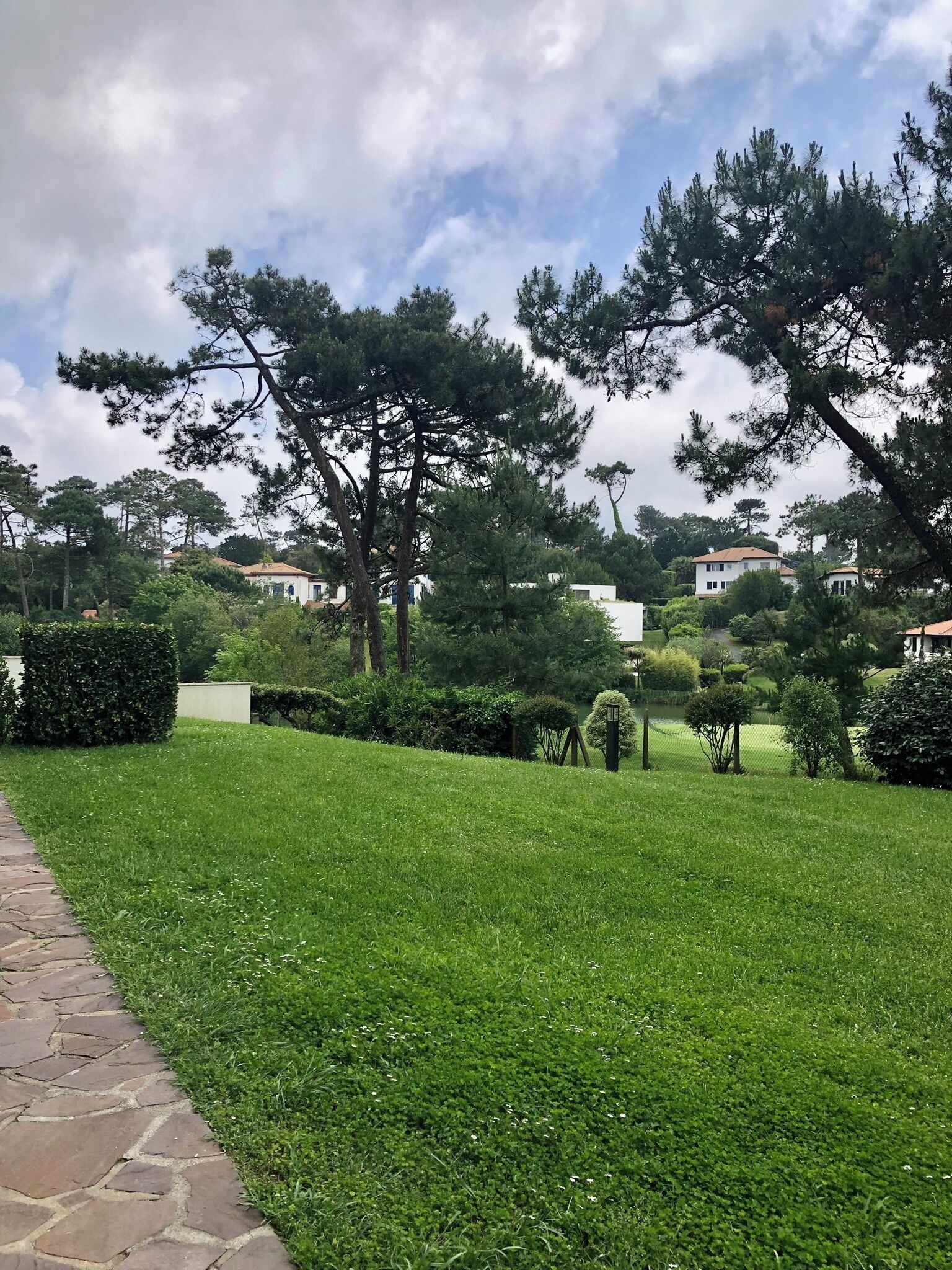 Ein gepflegter Rasen mit einem Kiesweg, umgeben von alten Bäumen und Wohnhäusern im Hintergrund.