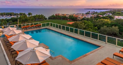 MVR| Miami’s Finest—Reserve While It’s Available