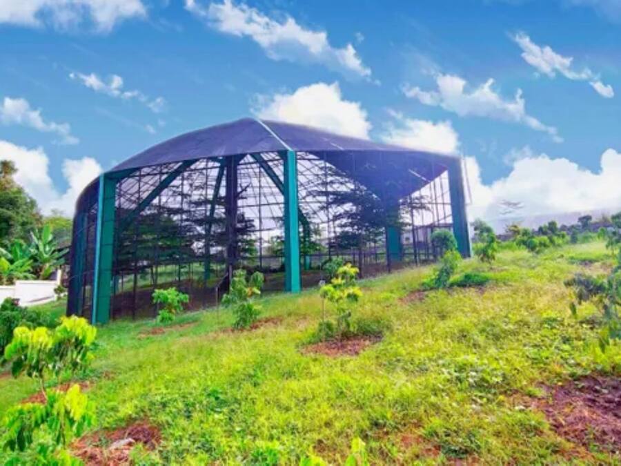 A large, open-air structure with a glass roof, surrounded by lush greenery and a clear sky.