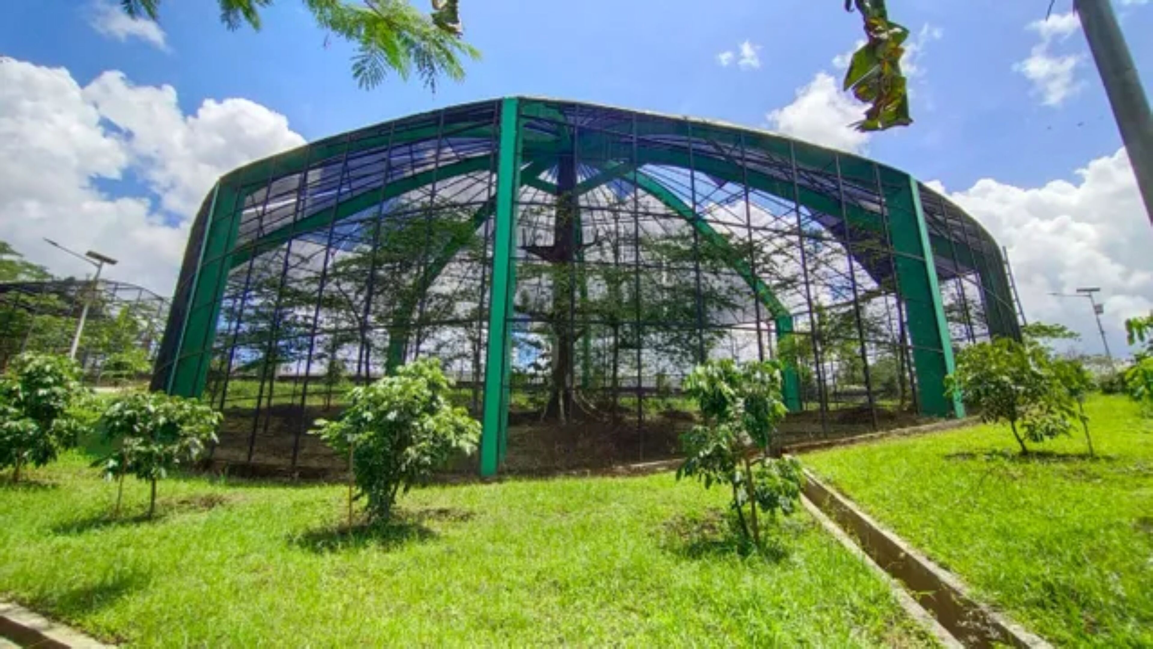 A large, open-air structure with a green frame and glass panels, surrounded by grass and small trees.