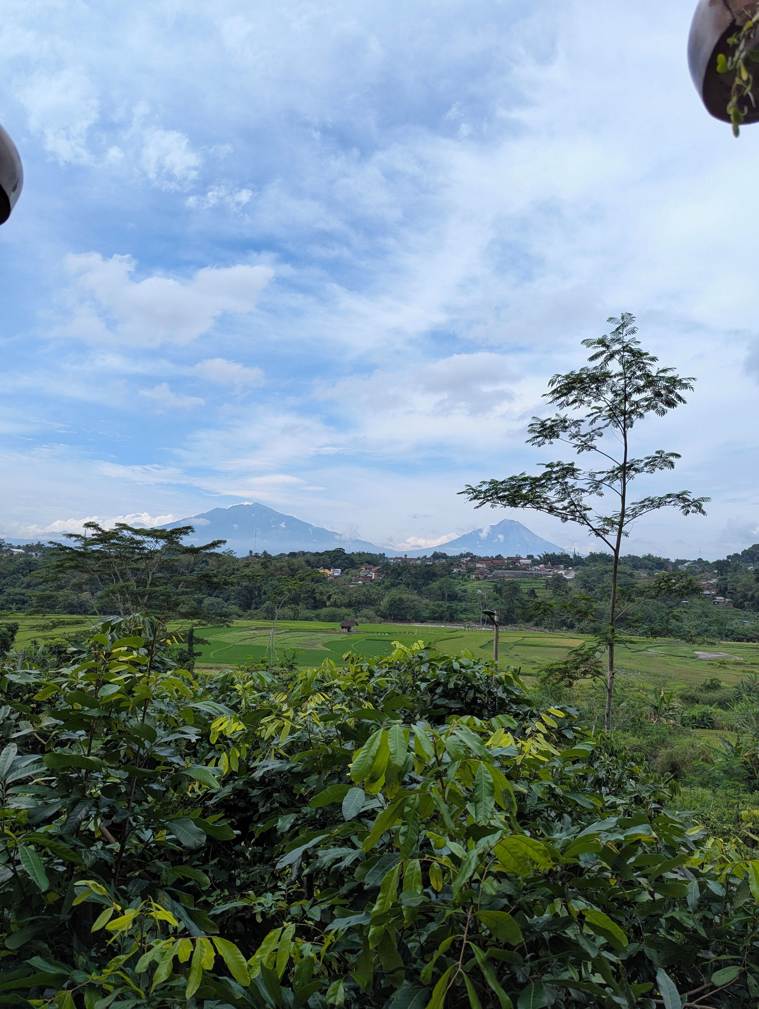 A landscape view with a clear sky, green fields, and a mountain in the distance.