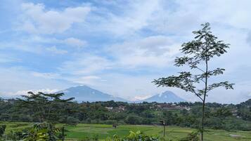 A landscape view with a clear sky, green fields, and a mountain in the distance.