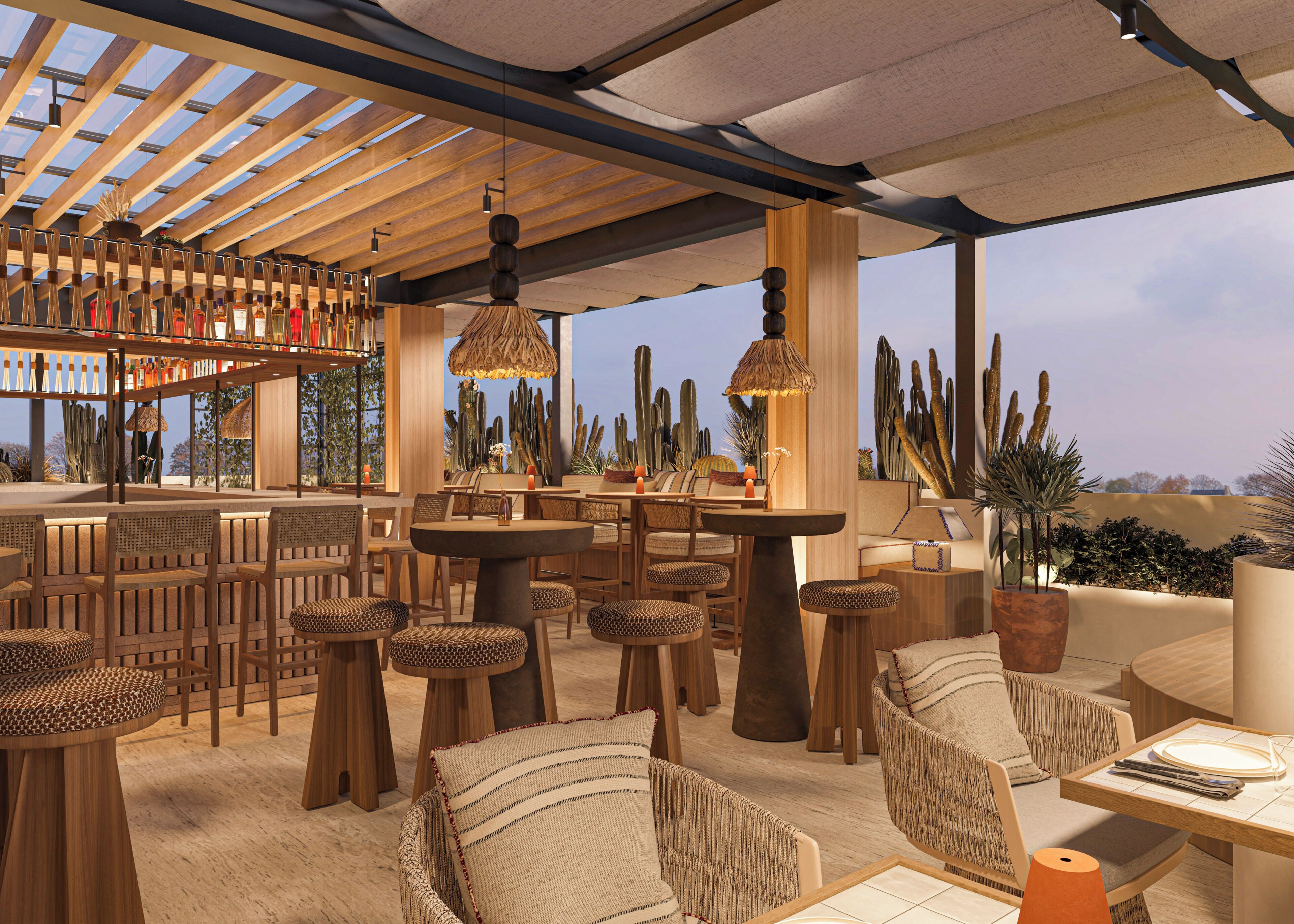Rooftop terrace