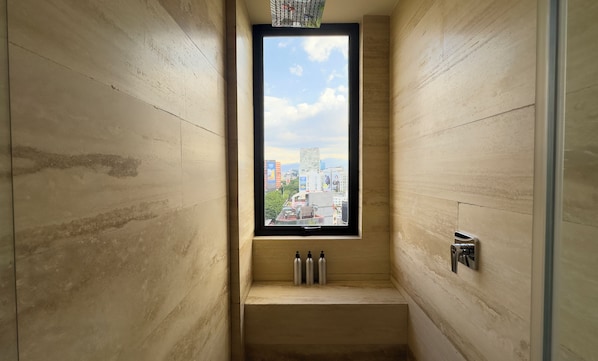 Ducha, cabezal de ducha tipo lluvia, secador de pelo, toallas