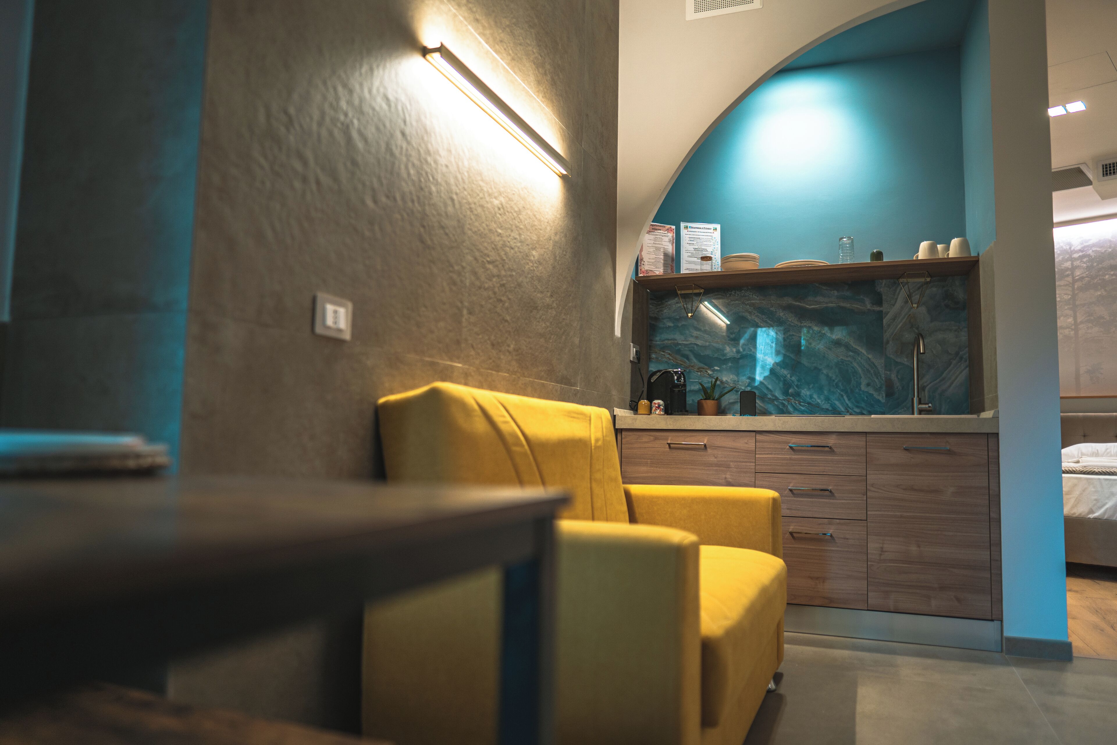 Studiosuite – junior, terrasse, hageutsikt | Eget kjøkken | Kjøleskap, kokeplater og kjøkkenutstyr