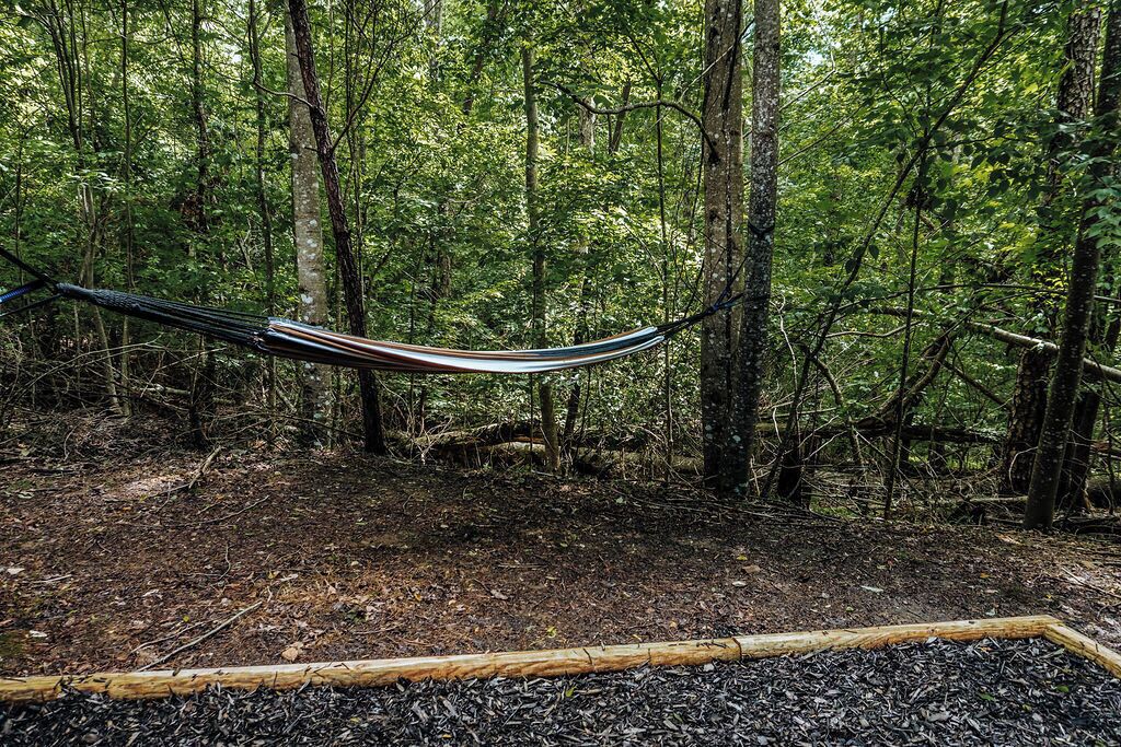 A hammock in a forest with trees and a wooden platform.