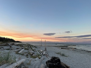 A beach with driftwood and logs, a clear sky, and distant mountains.
