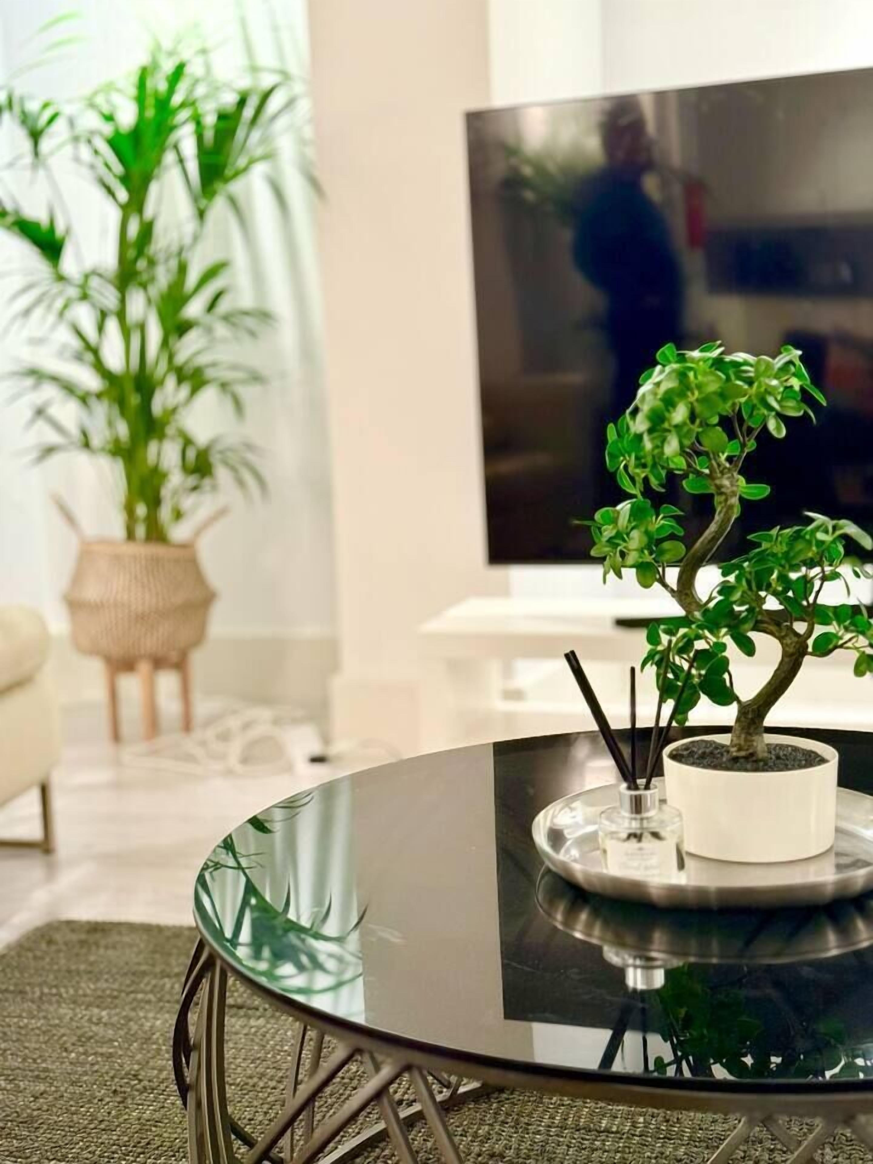 A living room with a round glass table, a potted bonsai tree, a television, and a large potted plant.