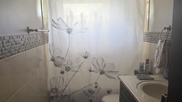 Hair dryer, towels, soap, toilet paper