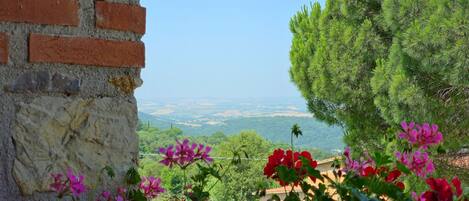 Detalle del exterior