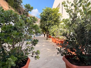 Property grounds - VILLA TIMOLEONTE - ADDAURA (Palermo)