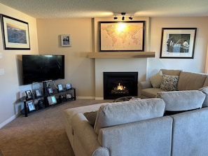 Smart TV, fireplace, books, computer monitors