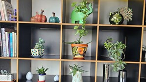 A bookshelf with multiple shelves, each holding various decorative items and plants.