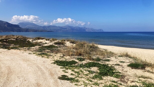 Ein Strand mit Sand und vereinzelter Vegetation, ein klarer, blauer Himmel und entfernte Berge.