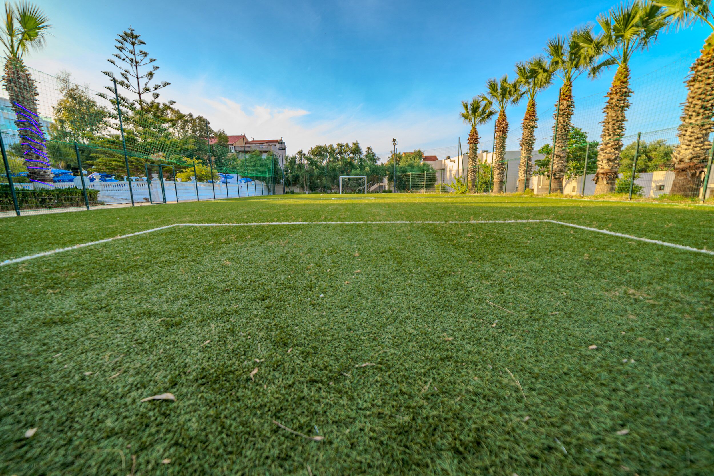 Un campo de fútbol con un arco, rodeado por una valla, palmeras y edificios al fondo.