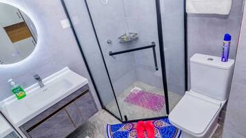 Shower, hair dryer, bidet, towels