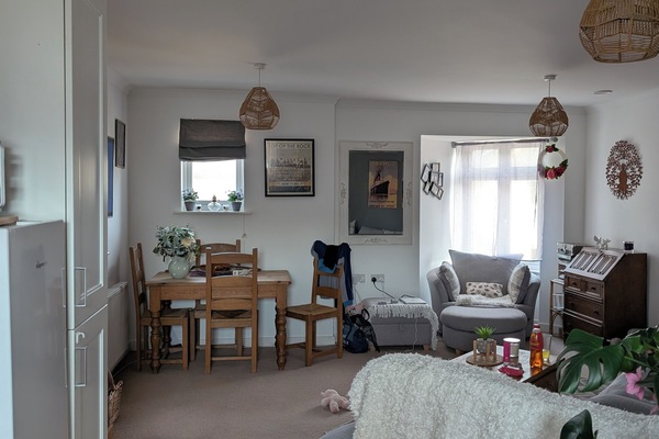 Smart TV, DVD player, books