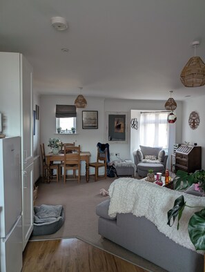 Smart TV, DVD player, books