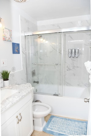 Hair dryer, bidet, towels, soap