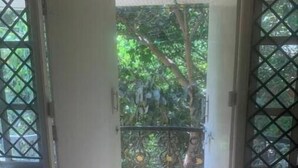 A doorway leading to a covered outdoor area with a view of greenery and a metal railing.