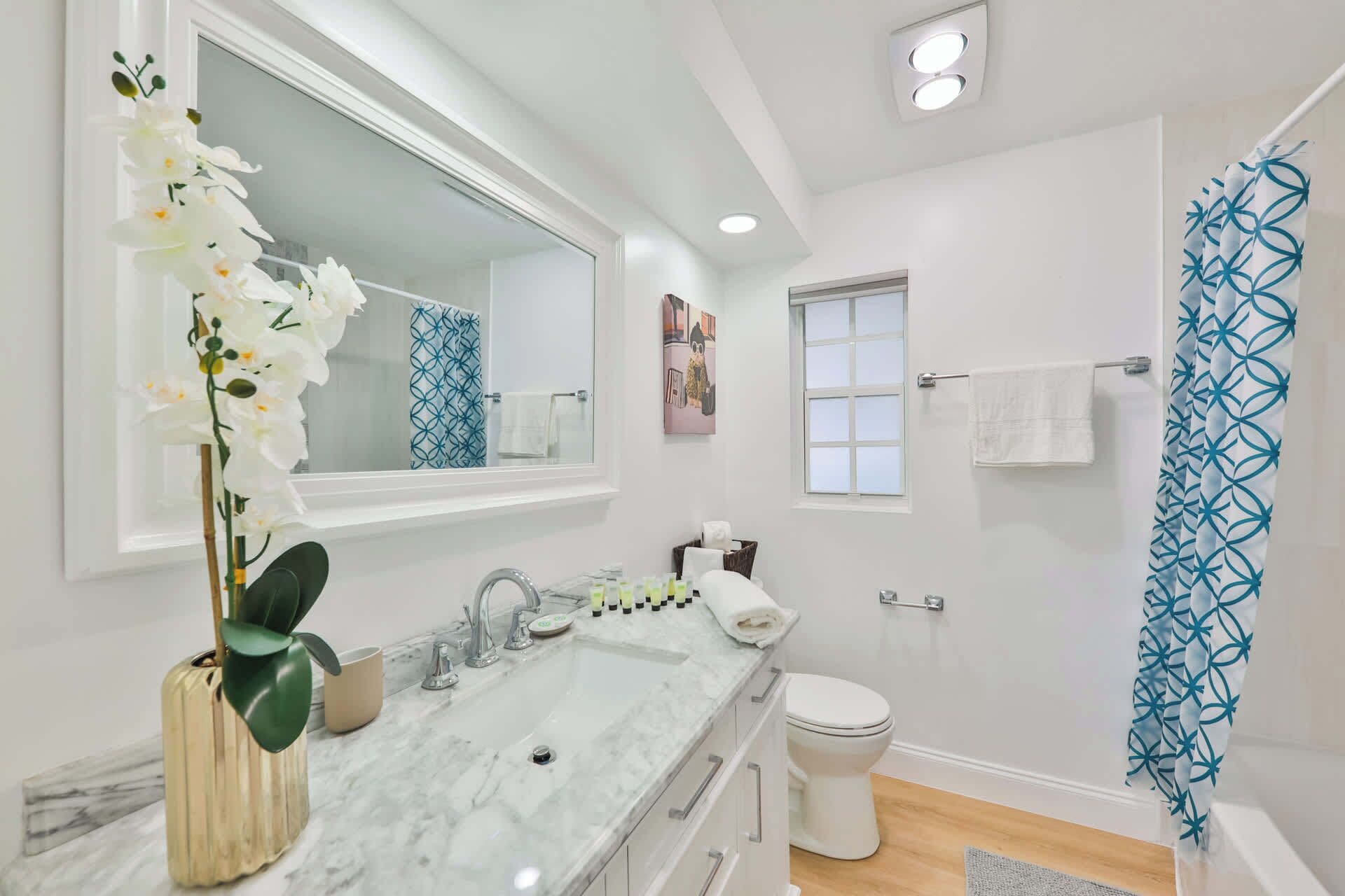 Douche, articles de toilette écologiques, séchoir à cheveux