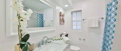 Douche, articles de toilette écologiques, séchoir à cheveux