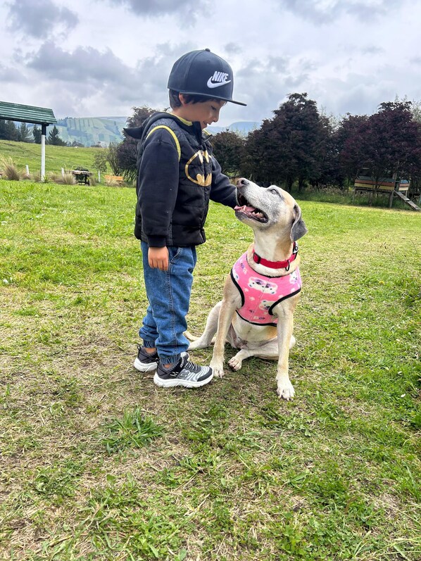 A child and a dog in an outdoor setting with grass and trees. - Hosteria y Camping WiM (Machachi)