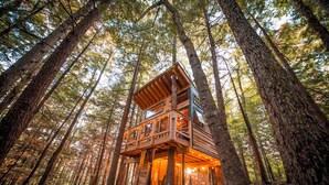 Exterior - Streamside treehouse in the Vermont forest with access to sauna (Hardwick)