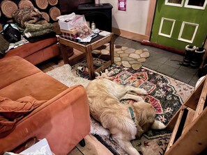 Una sala de estar con un perro acostado sobre una alfombra, un sofá, una mesa de centro con objetos y una puerta verde.