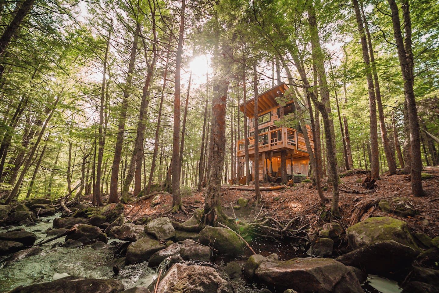 A forest cabin with a multi-level structure surrounded by tall trees and a stream.