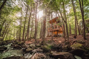 A forest cabin with a multi-level structure surrounded by tall trees and a stream. - Cozy Treehouse with Sauna in the Woods with Stream (Hardwick)