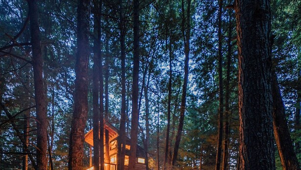 A cabin in a forest with a fire pit and a person cooking. - Streamside treehouse in the Vermont forest with access to sauna (Hardwick)
