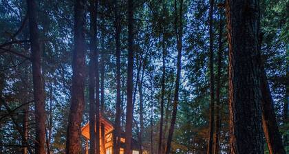 Streamside treehouse in the Vermont forest with access to sauna