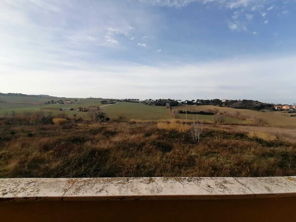 Exterior - Cleo Dalia (Ancona)