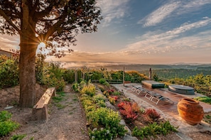 Terrasse/gårdhave